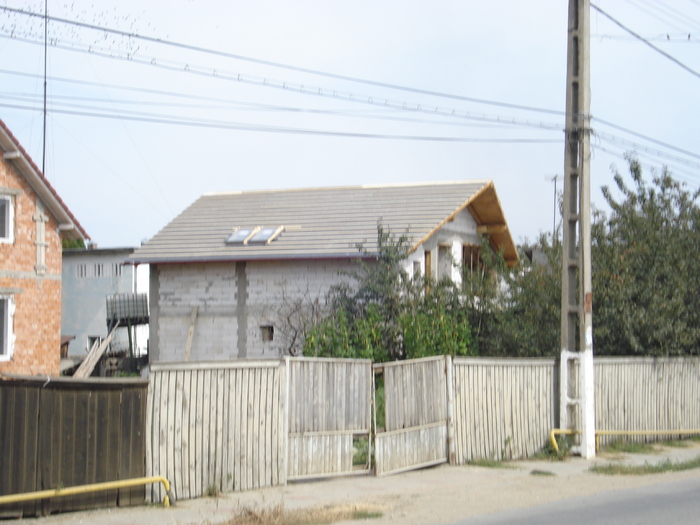 DSC02336