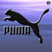 LTGDOLSRVFPEPESVCFB - puma