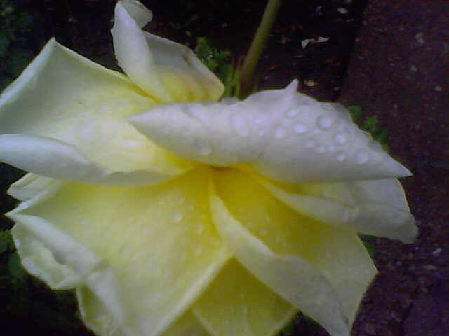 Picture 072 - nu imi mai apartin