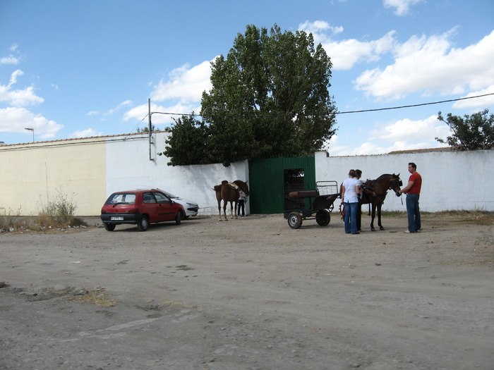 IMG_4130 - excursie in Spania