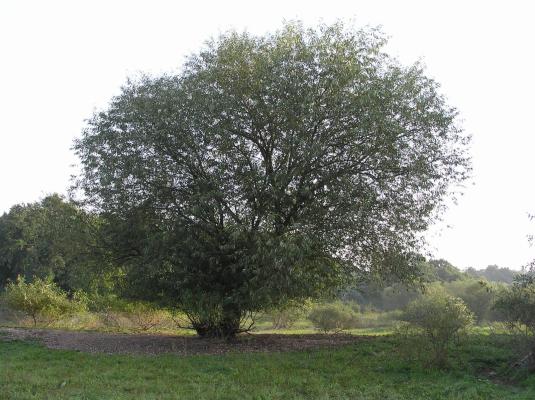 P8200091