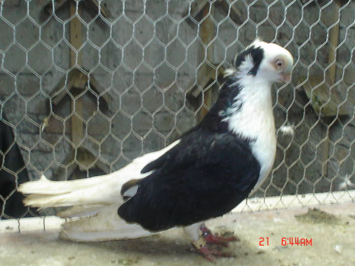 DSC02877