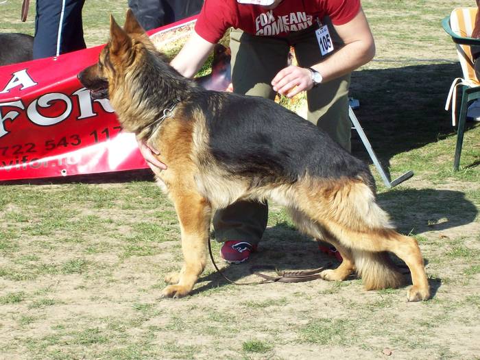 100_6839 - Expo-Pitesti-28martie2009