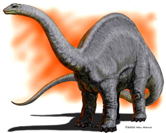 apatosaurus[2]