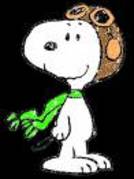 snoopy (36)