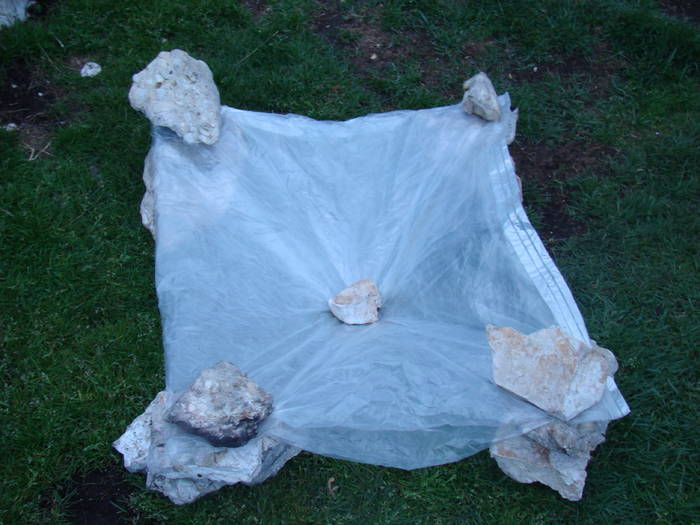 DSC03862 - Concediu 2009