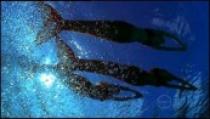 M2YHSS7ERQWO27TCH4LY3VS37 - H2o