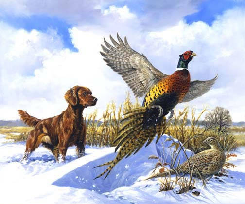 Irish Setter and Pheasant_jpg