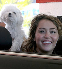 3382909771_cdb5361582_m - miley cyrus Arriving at the Studio