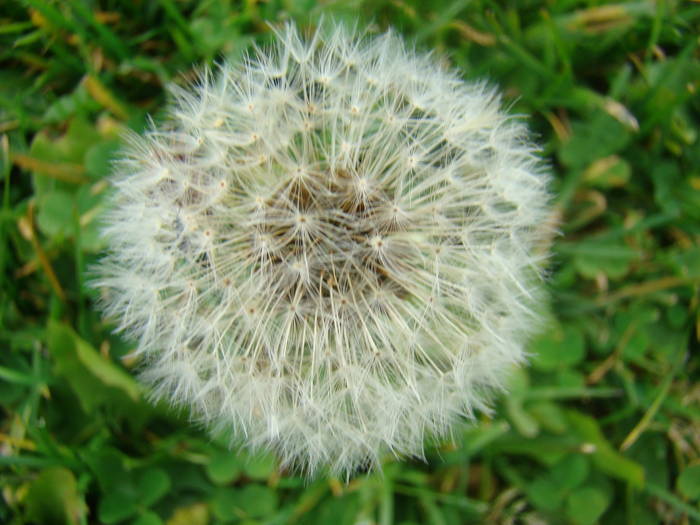 DSC00376