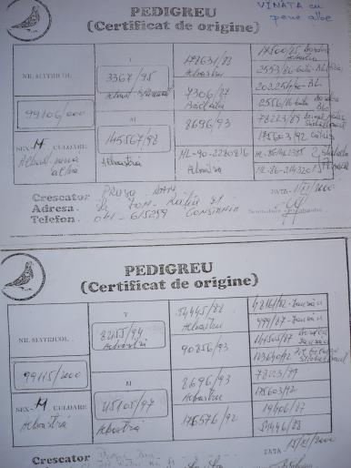 pedigree p2 - 6-Pedigree