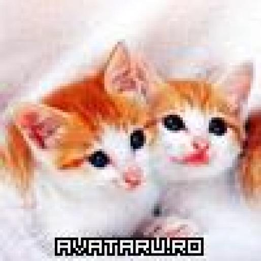 Kittens - avatare