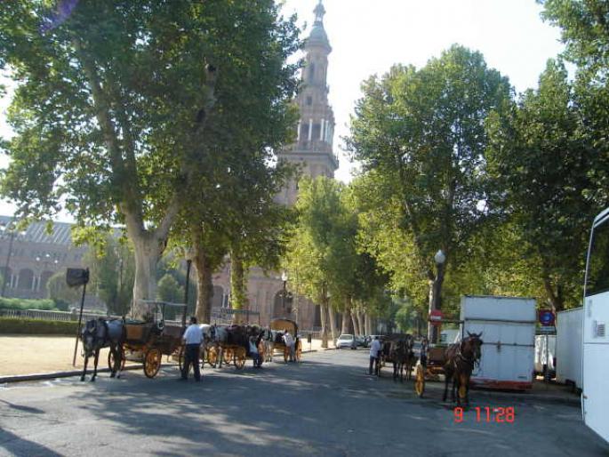 19 Sevilla