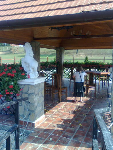 Imagine1566 - ApiMondia