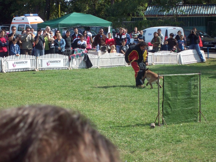 100_8580 - Expo CACIB-Bucuresti 19-20sept2009