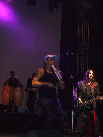 concert (17)