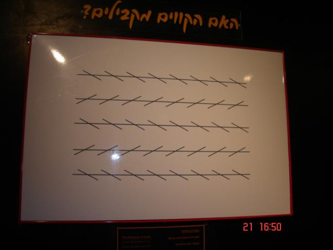 426  Israel - Eilat - 2008 ISRAEL NOIEMBRIE