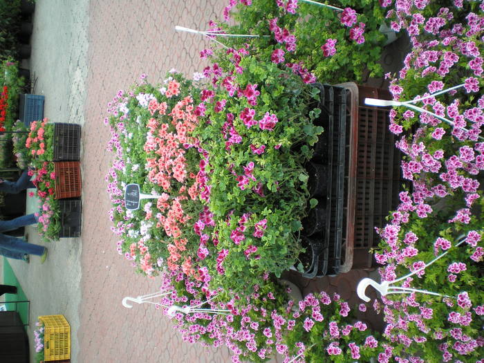 P5070154
