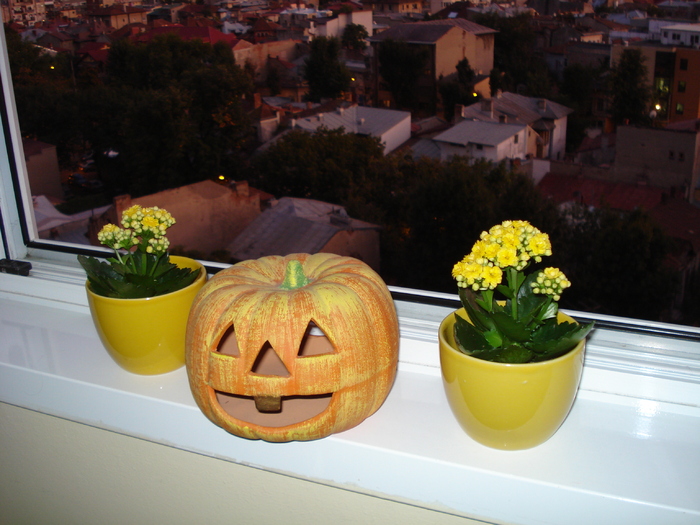 KALANCHOE