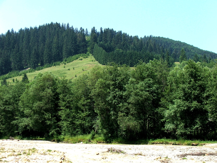 DSCF1668 - peisaje_Bucovina