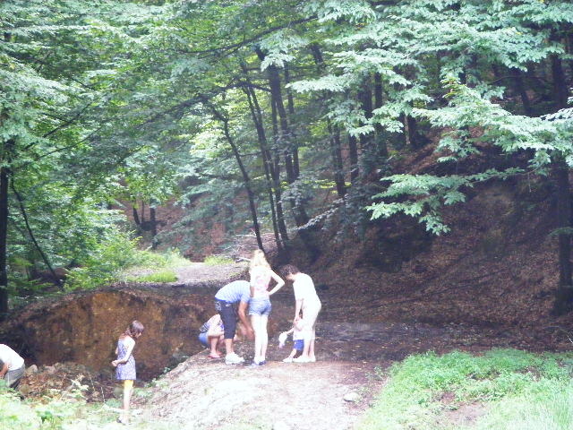 DSCF4872 - Firiza_Maramures