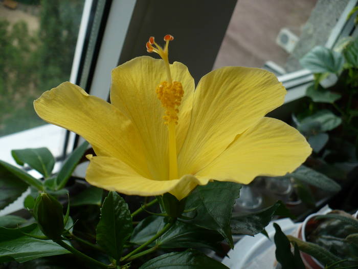 P1140391