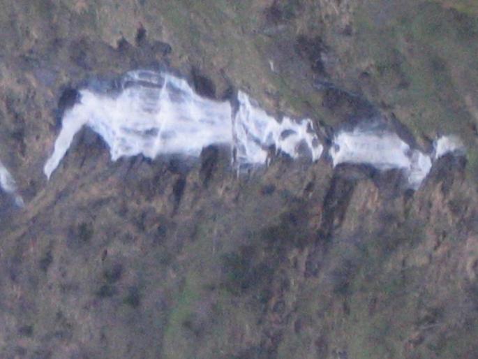 Resize of Picture 100