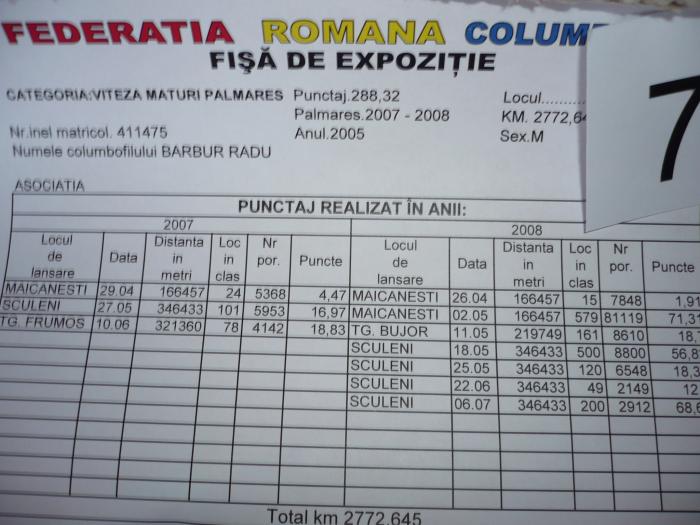 C-411475-05-RO-M loc 7 national 2008-viteza maturi palmares- barbur radu - 6-PORUMBEI CELEBRII AI CLUBULUI