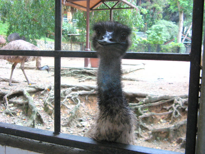 IMG_0256 - 2_1 - Kuala Lumpur Bird Park