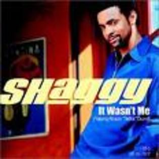 imagesCAXLUUDV - shaggy