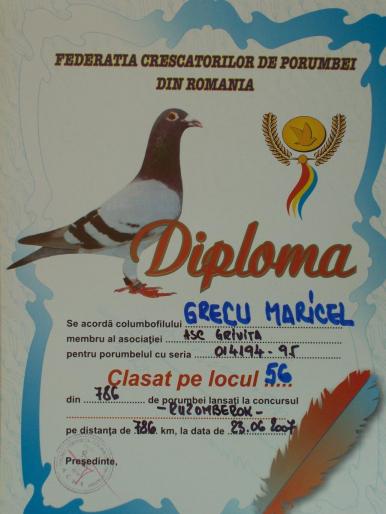 100_2888 - rezultate