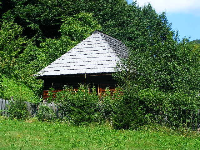 DSCF4745 - Firiza_Maramures