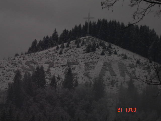 DSC00102