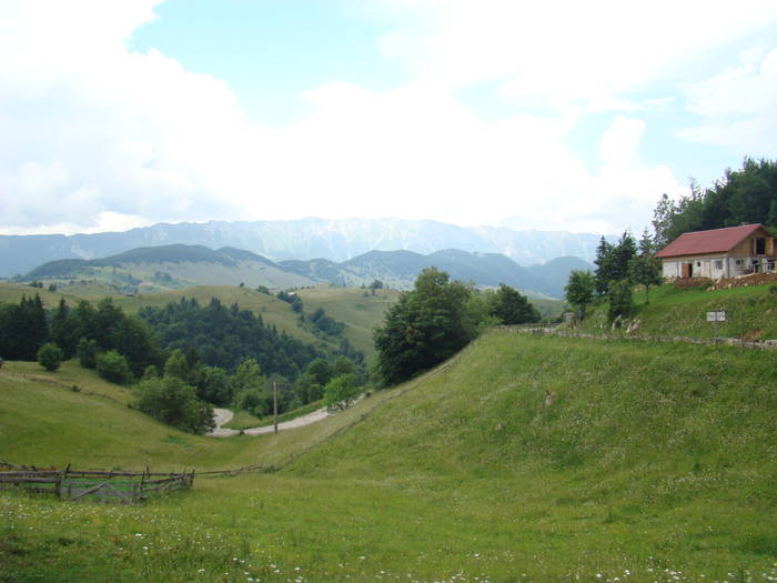 DSC03893 - Concediu 2009