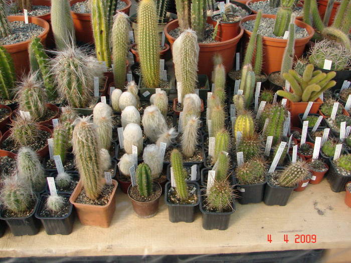 DSC05209