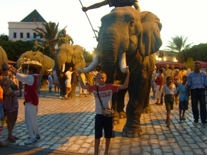 cu elefantii - 2008 Tunisia