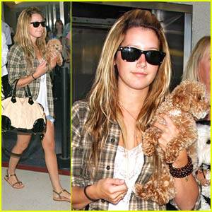 ashley-tisdale-lax-dog