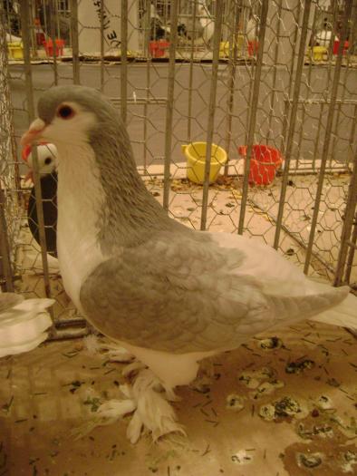 DSC05410
