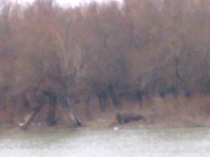 Dunarea Tulcea-Braila