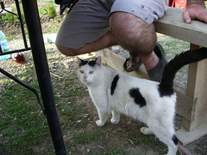  - In vizita la Monica - 05 aprilie 2009