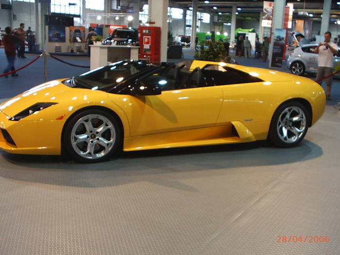 Picture 216