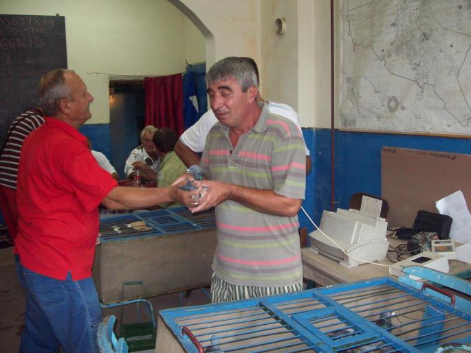 gmg22 017 - ASC grivita concurs 2008