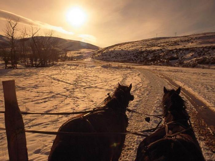 Early Morning Hay Wagon, Idaho - cai