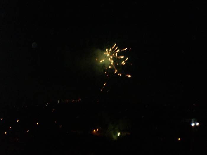 PB210275 - REVELION 2010