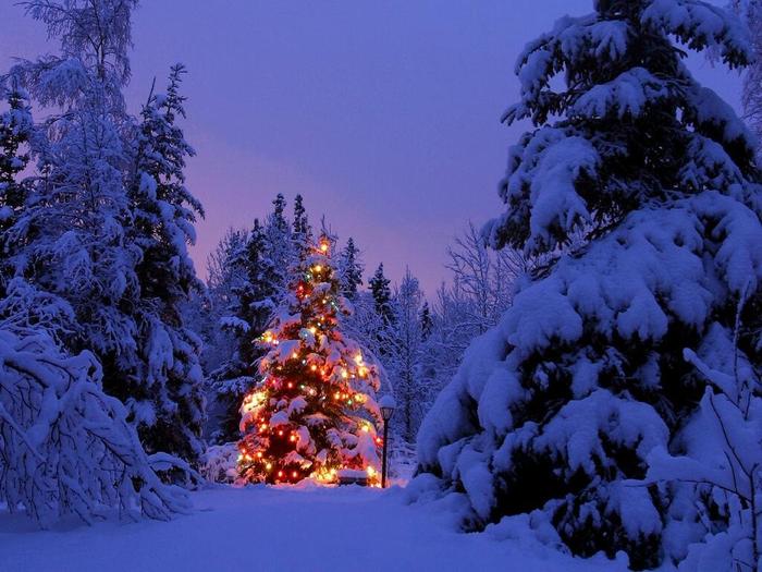 christmas-tree - CHRISTMAS WALLPAPERS
