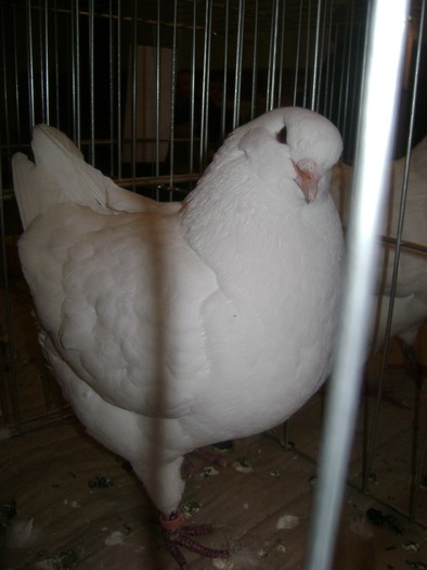 DSC08092