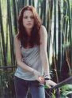 bella swan - Twilight 13