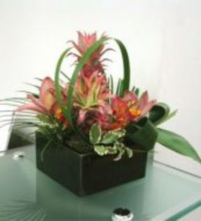 flori-ananas-orhidee