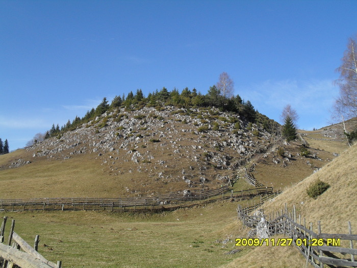 SDC10681 - cheile gradistei