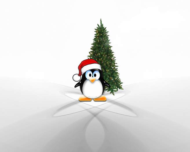 adni18_Linux_Christmas